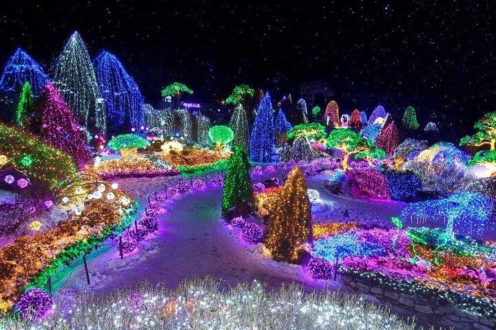ナミ島、アルパカ、プチフランス、ソウル発Kガーデンツアー