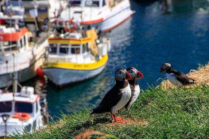 7-Day Small Group Journey Around Iceland