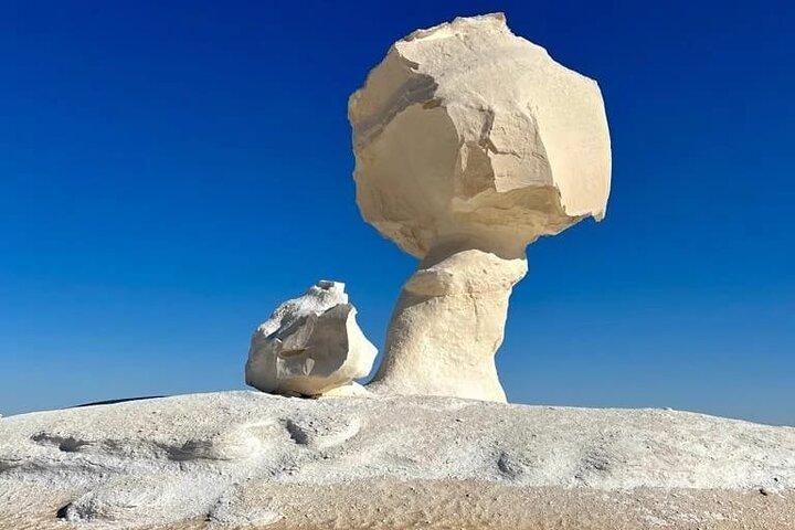 カイロの黒い砂漠とキャンプから白砂漠サファリ一泊