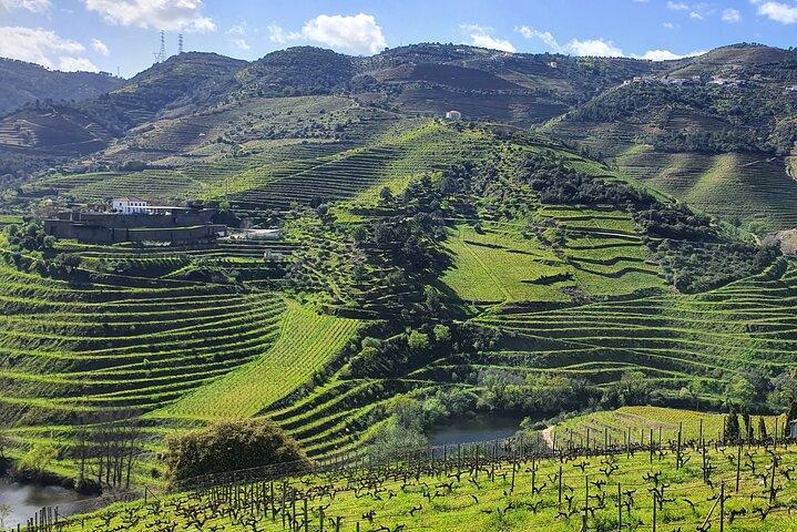 Douro Valley Tour with Train and Vinho Verde