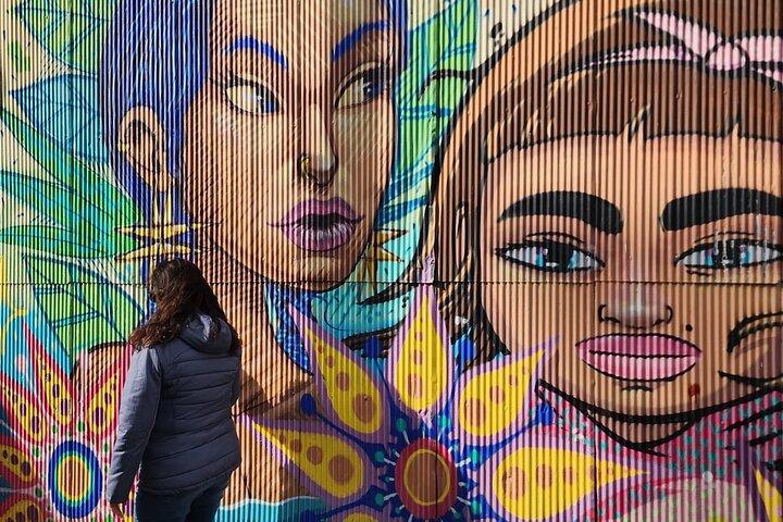 Tour privato di un giorno a Valparaíso e Viña del Mar