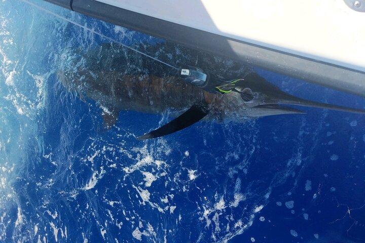Kona - 6 ore di noleggio privato di pesca Kona, Hawaii