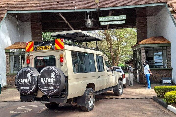 Tour privato di mezza giornata del National Wildlife Safari a Nairobi
