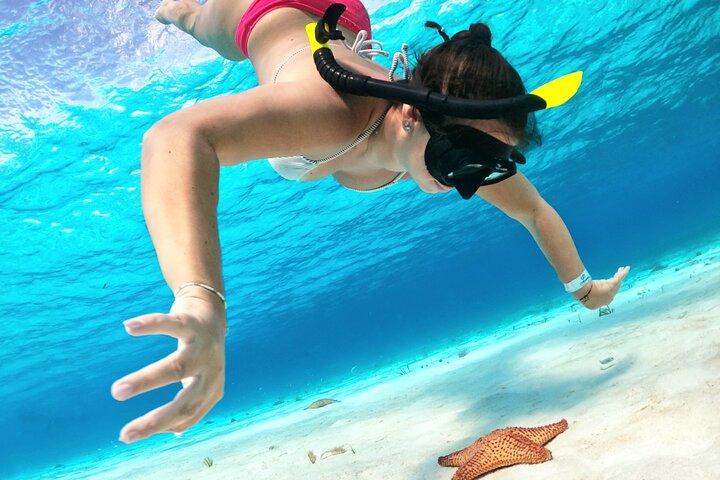 De Cozumel Turtle Sanctuary Snorkel Tour