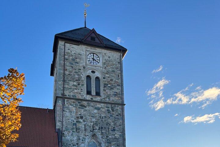 2 timmars stadsvandring genom Trondheim