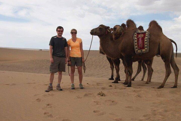 7 Tage große Gobi-Tour