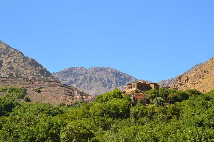Marrakech: Imlildalen, Atlasbergen, Vattenfall och lunch