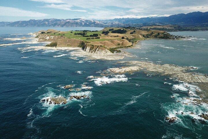 Kaikōura Whale Watch Tour fra Christchurch - Lille gruppe