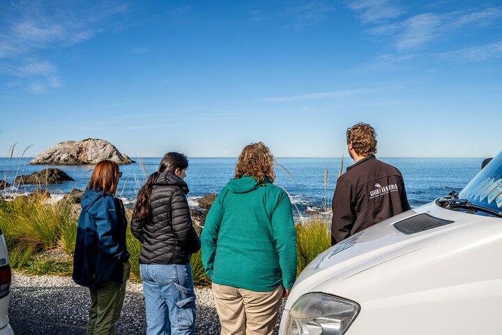 Kaikōura Whale Watch Tour fra Christchurch - Lille gruppe