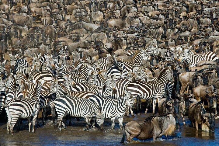 4-Day Group Safari to Tarangire, Serengeti & Ngorongoro Crater