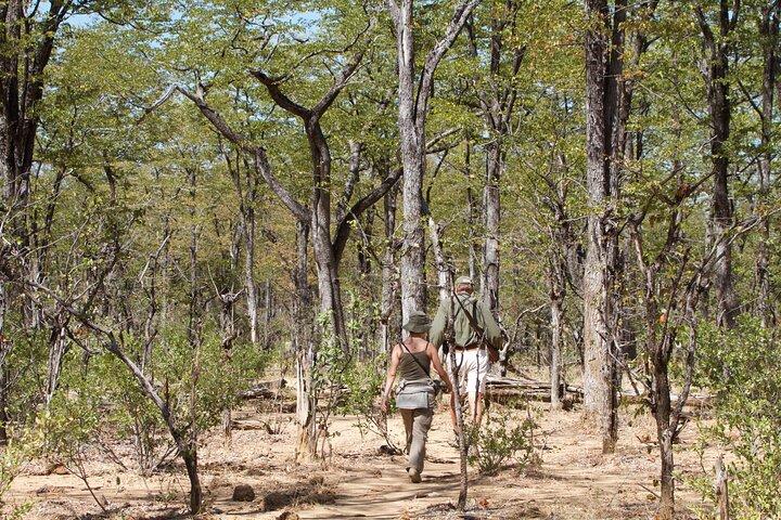 4-Day Group Safari to Tarangire, Serengeti & Ngorongoro Crater
