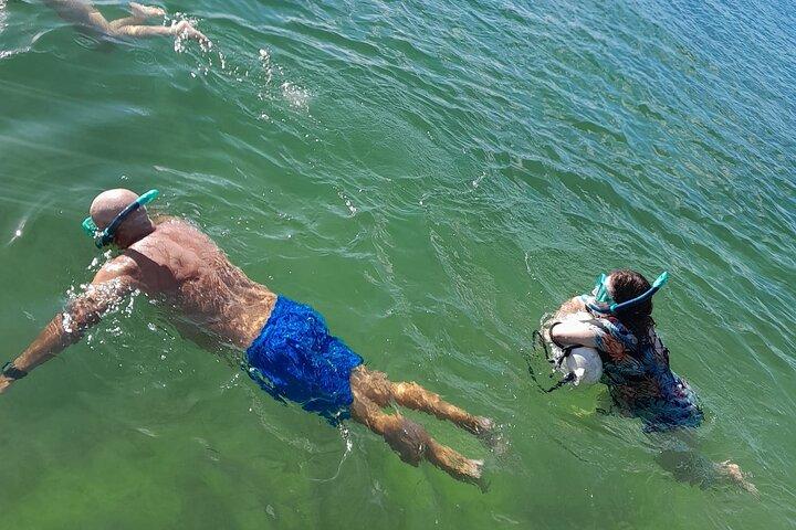 Miami : Tour de buceo para principiantes