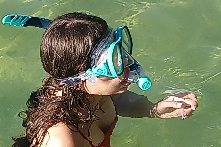 Miami: Snorkeläventyr & Sandbar Trip
