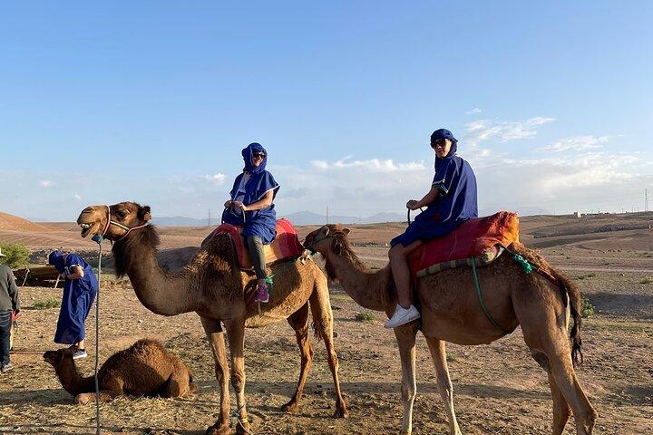Agafay Desert Package : /Abendessen Show Camel Ride oder Quad Bike