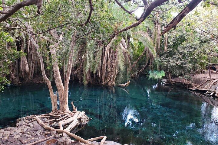 Tour privado a las aguas termales de Materuni y Chemka