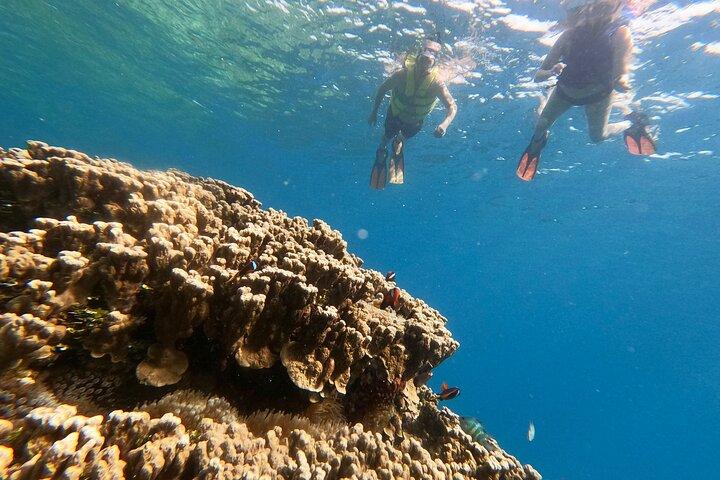 Guam's 5* Guided Snorkeling / Freediving Tour!