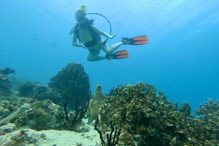 Le migliori immersioni sulla spiaggia di Guam! Immersioni principianti e avanzate