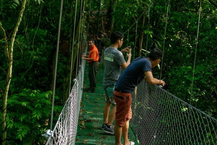 リモン熱帯雨林の吊り橋 - スカイウォーク ツアーとトルトゥゲーロ運河