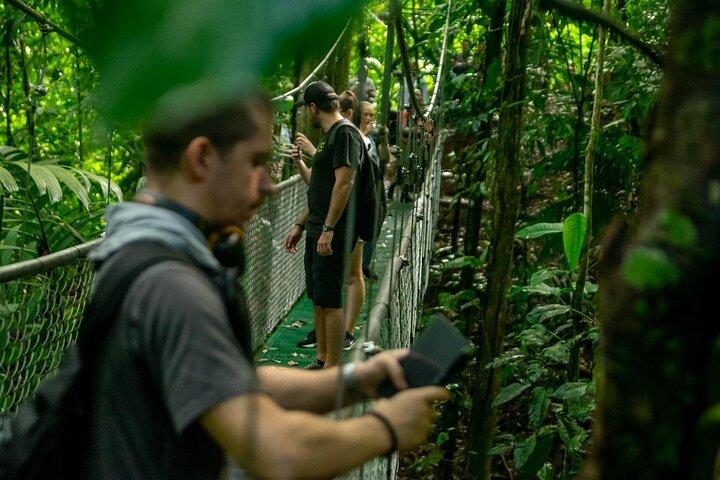リモン熱帯雨林の吊り橋 - スカイウォーク ツアーとトルトゥゲーロ運河