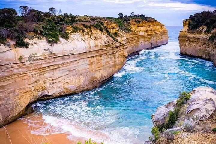 Premium en petit groupe Great Ocean Road & Wildlife avec déjeuner