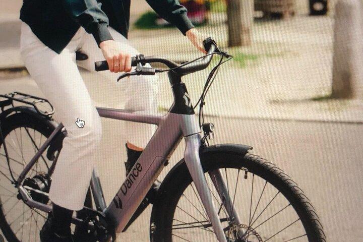E-Bike City group tour 2.5h