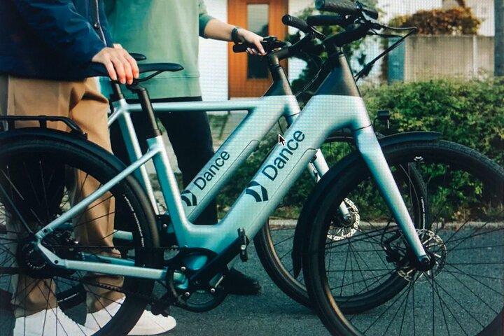 E-Bike City group tour 2.5h