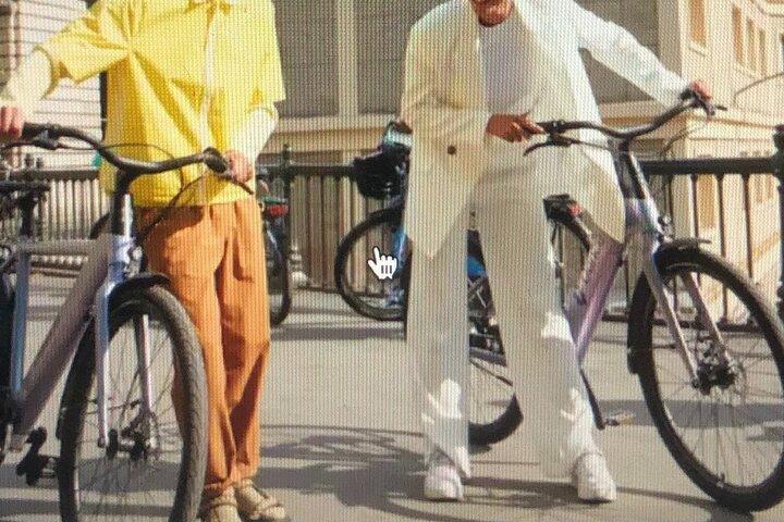 E-Bike City group tour 2.5h