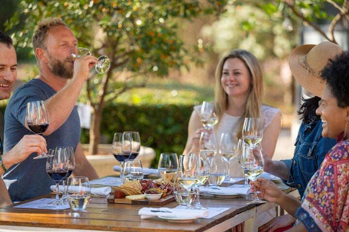 Tour panoramico in bici elettrica di Adelaide e degustazione di vini
