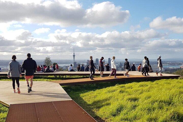 ワイトモ ツチボタル洞窟とオークランド市内ツアーの日帰り旅行