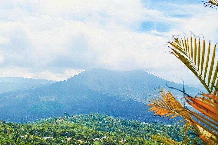 終日キンタマーニ火山ツアーフォルクスワーゲンサファリ