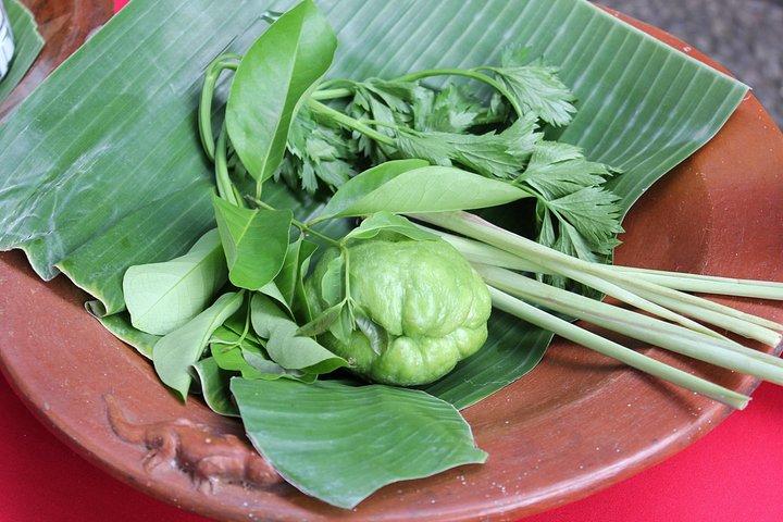 バリツアーの農村の魅力