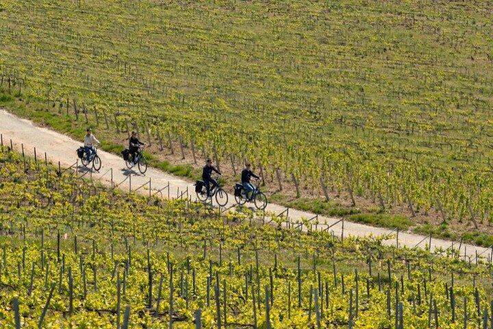 Fra Reims eftermiddags e-cykeltur, besøg og champagnesmagning
