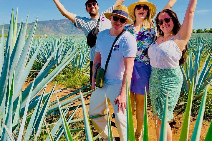 Tequila/Guachimontones Tour – Route des kulturellen Erbes