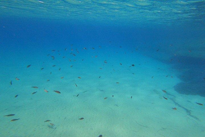 Go Pro 写真撮影付き 1 時間プライベート ガイド付きシュノーケリング アドベンチャー