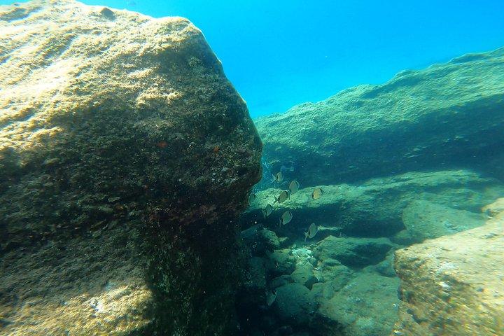 Go Pro 写真撮影付き 1 時間プライベート ガイド付きシュノーケリング アドベンチャー