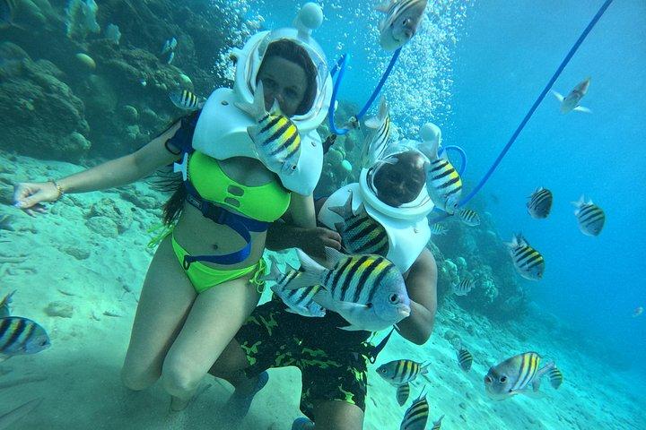 シートレックキュラソー：水中ヘルメットウォーク、水泳不要