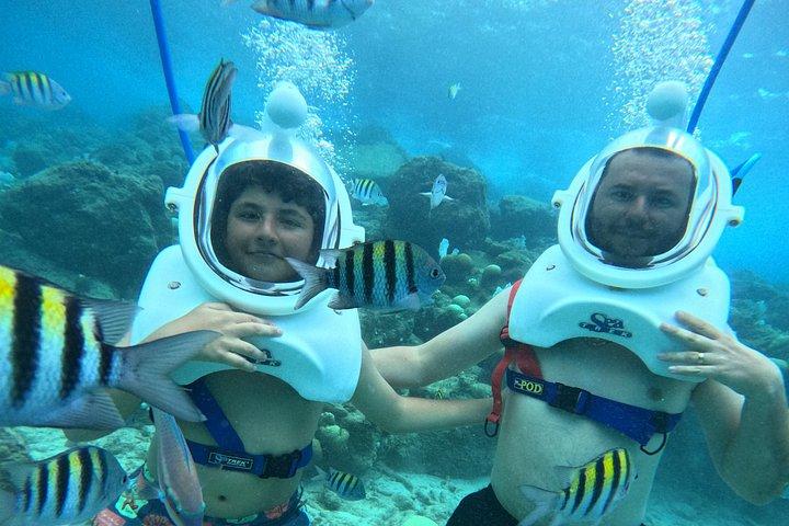 シートレックキュラソー：水中ヘルメットウォーク、水泳不要