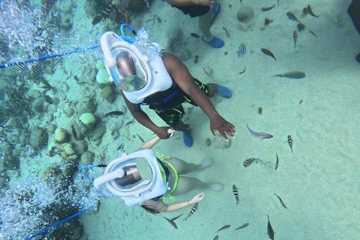 シートレックキュラソー：水中ヘルメットウォーク、水泳不要