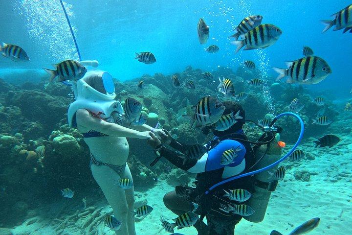 シートレックキュラソー：水中ヘルメットウォーク、水泳不要
