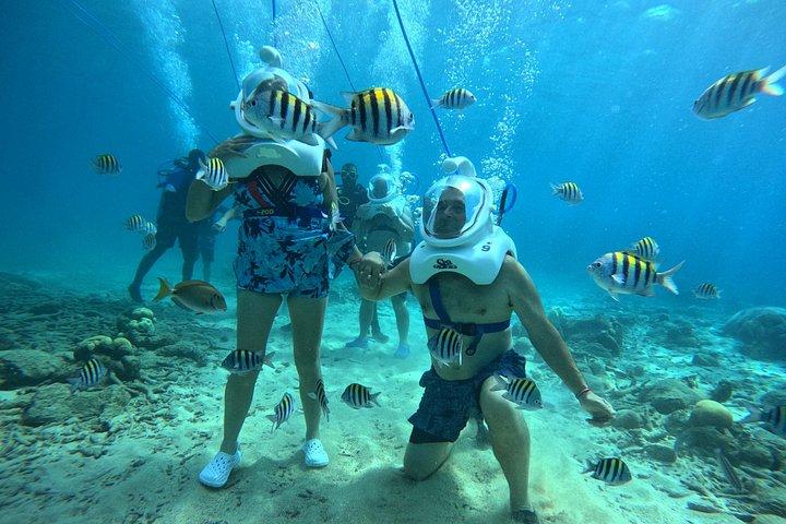 シートレックキュラソー：水中ヘルメットウォーク、水泳不要