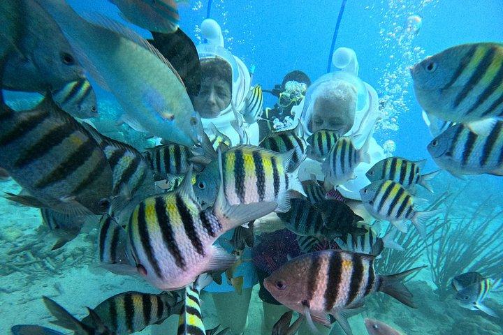 シートレックキュラソー：水中ヘルメットウォーク、水泳不要