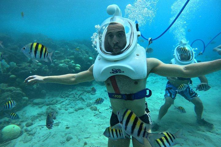 シートレックキュラソー：水中ヘルメットウォーク、水泳不要