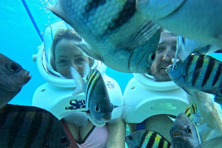 シートレックキュラソー：水中ヘルメットウォーク、水泳不要