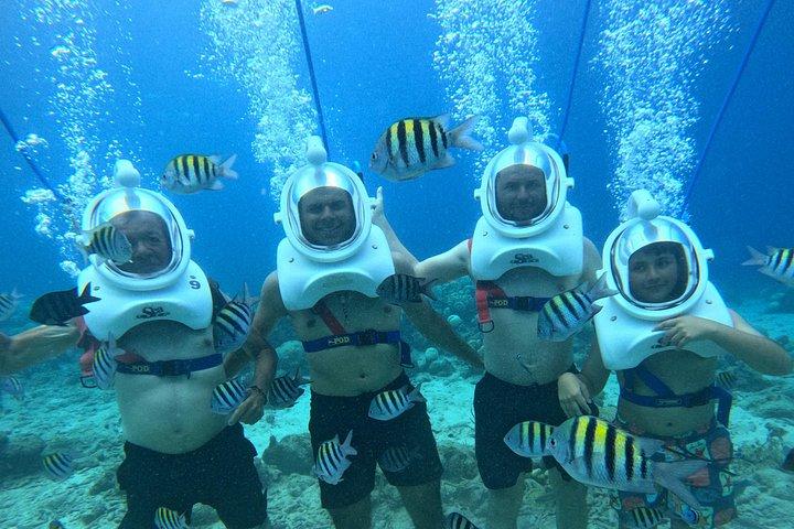 シートレックキュラソー：水中ヘルメットウォーク、水泳不要
