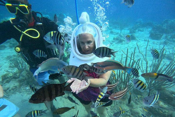 シートレックキュラソー：水中ヘルメットウォーク、水泳不要