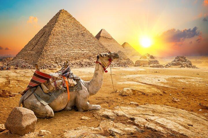 Heldags privat tur til pyramiderne, egyptisk museum og basar