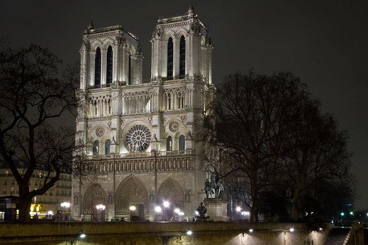 Tour notturno di Parigi e crociera sulla Senna (opzionale)