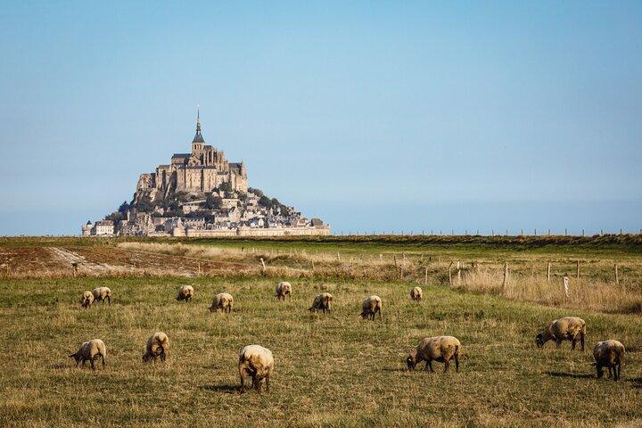 E-biketocht naar Mont Saint Michel // Privérondleiding