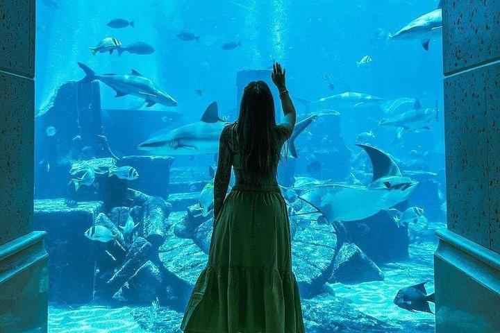 ドバイ：アトランティスのロストチェンバーズ水族館（オプション送迎付き）