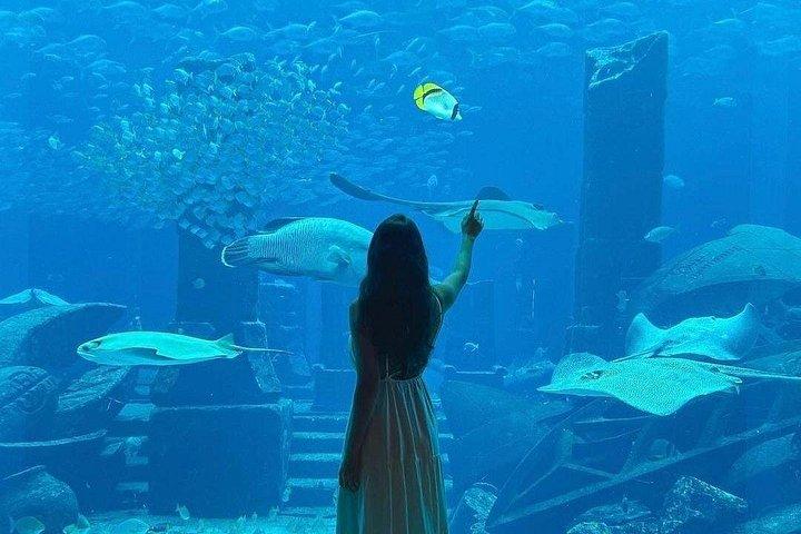 ドバイ：アトランティスのロストチェンバーズ水族館（オプション送迎付き）